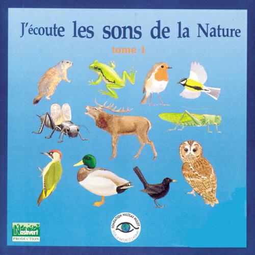VARIOUS ARTISTS - Le vent