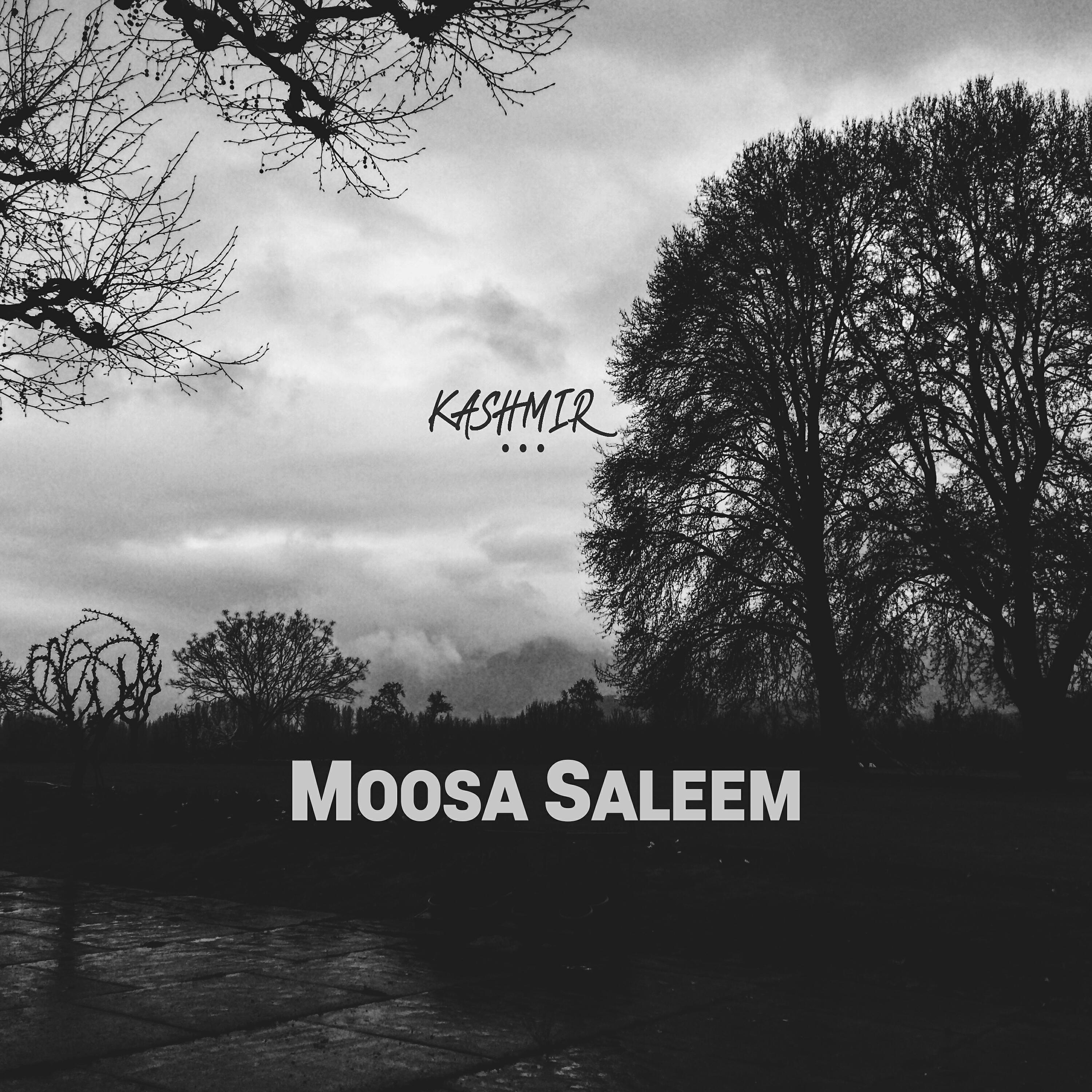 Moosa Saleem - Mystic Mountains