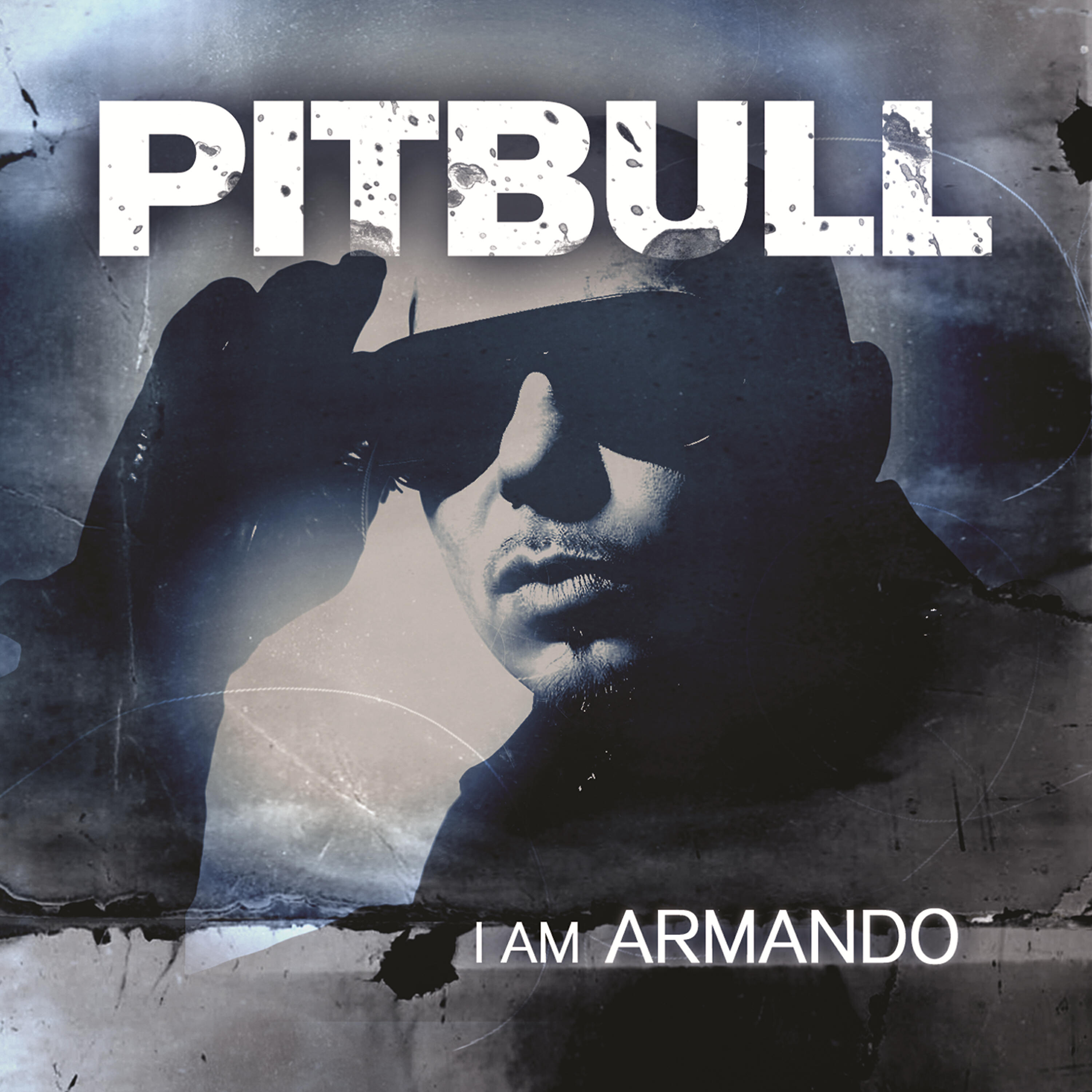Pitbull - Watagatapitusberry (Remix)