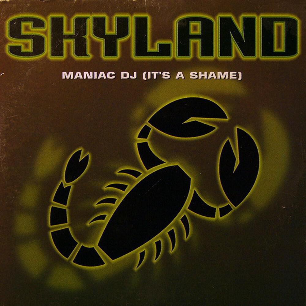 Skyland - Maniac DJ (It's a Shame) [Sky Radio Edit]