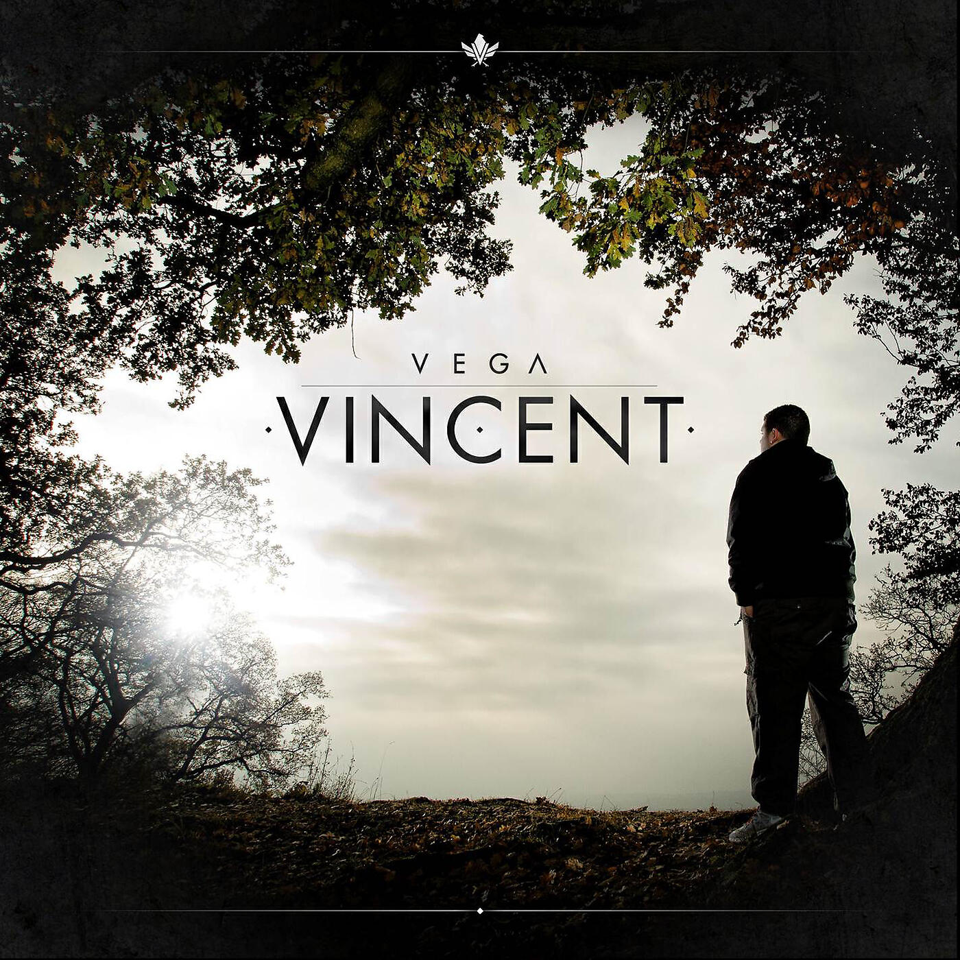 Vega - Vincent ist da