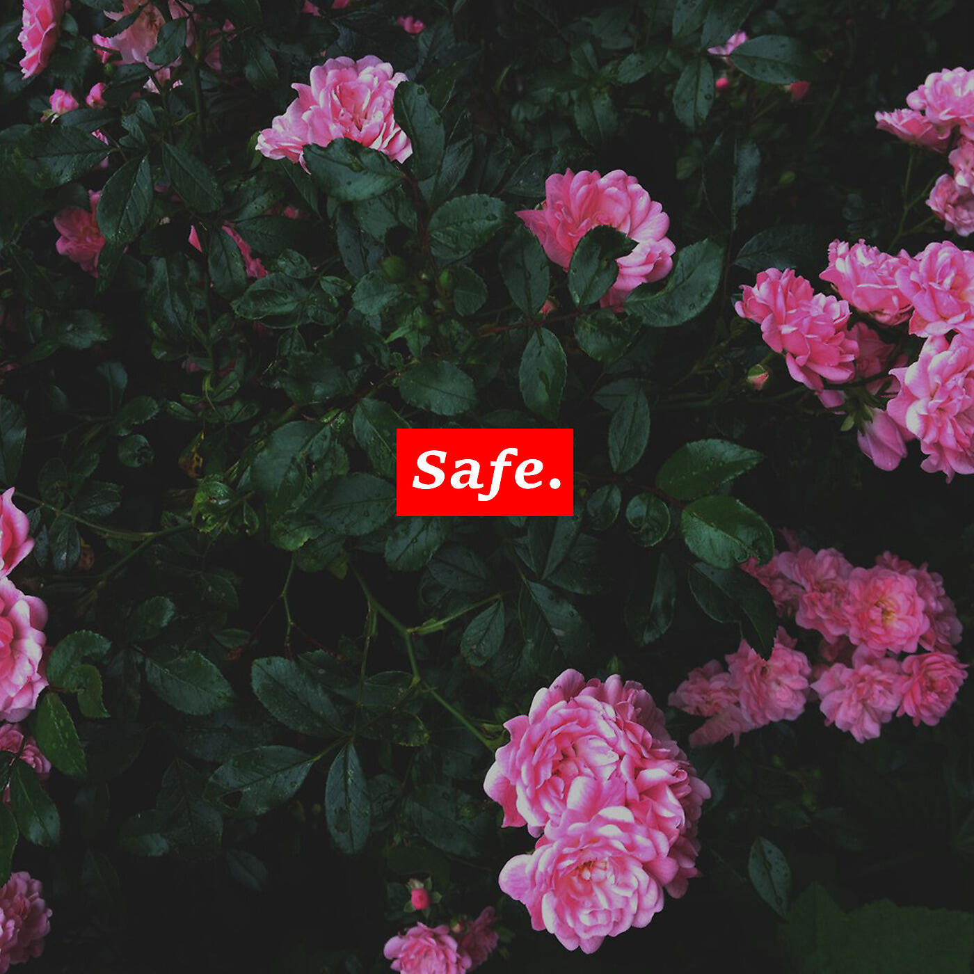 Sarah Meow - I'll Keep You Safe