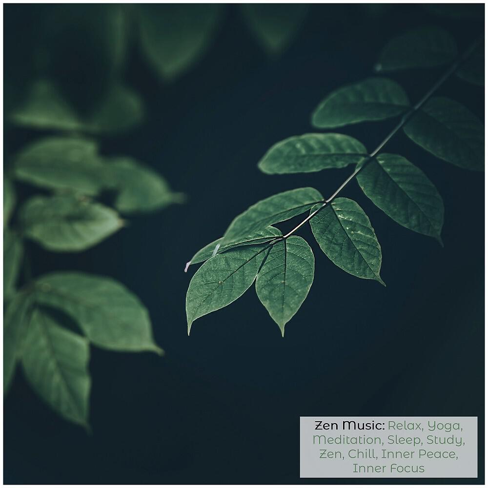 Meditation Mantras Guru - Zen Meditation