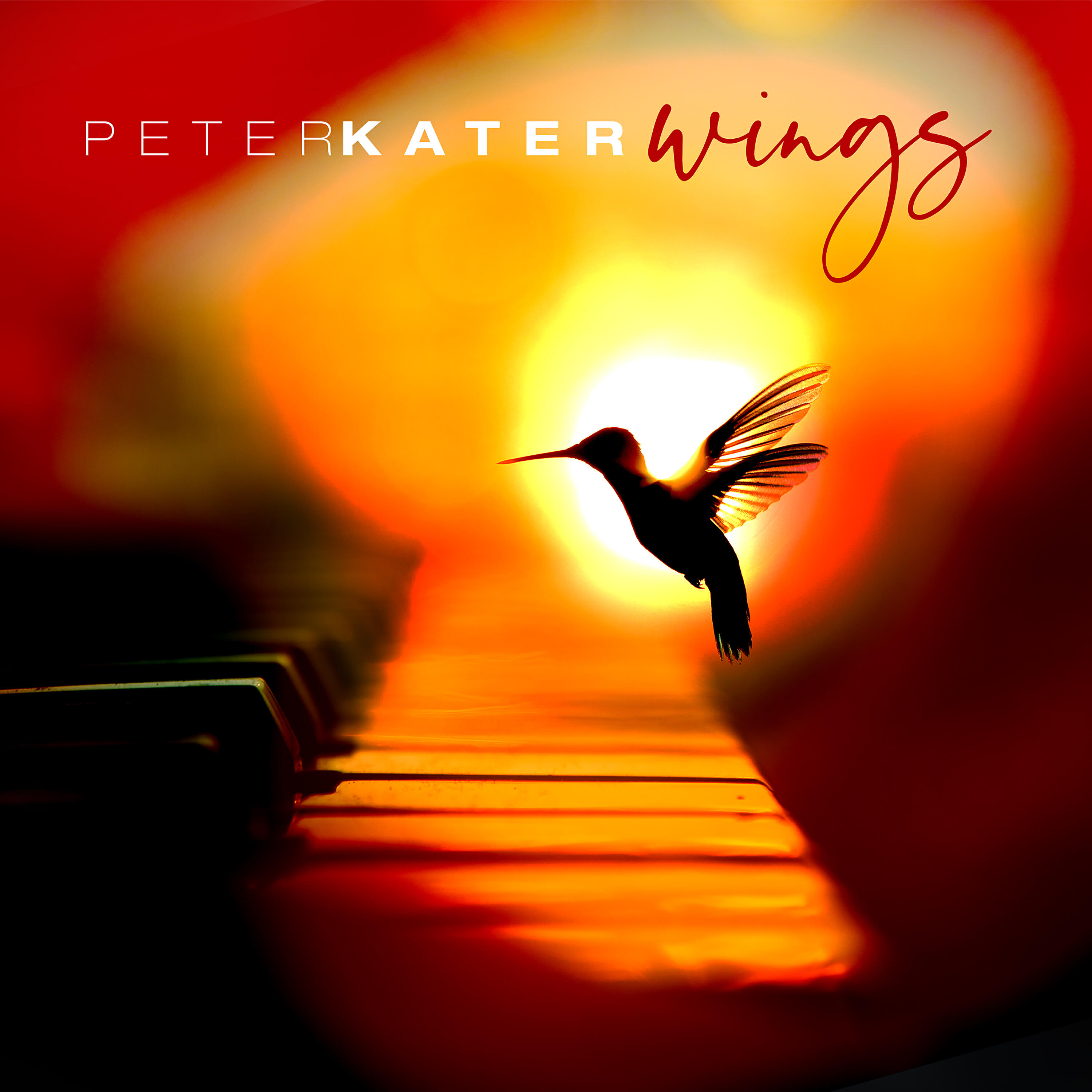 Peter Kater - Flight Reprise