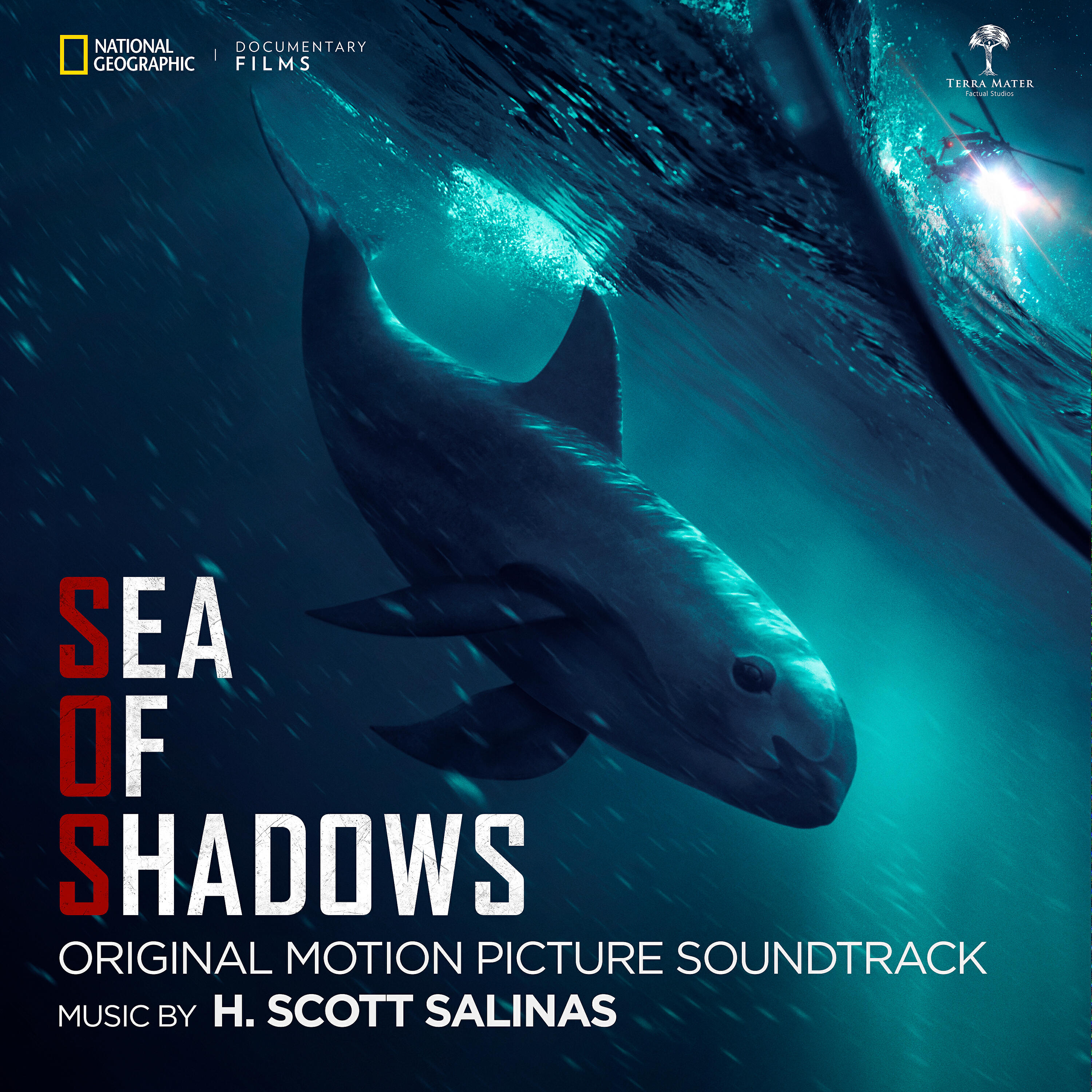 H. Scott Salinas - Titles