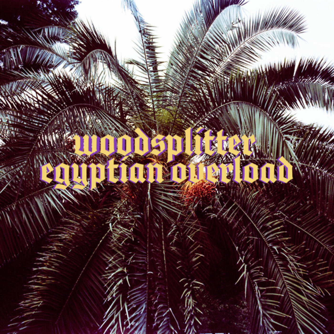 Woodsplitter - Kiwi