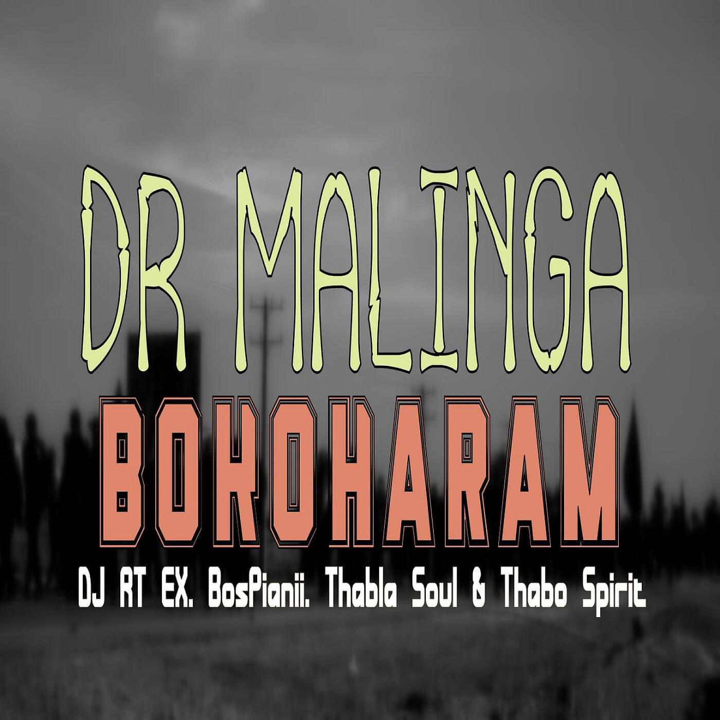 Dr Malinga - Bokoharam