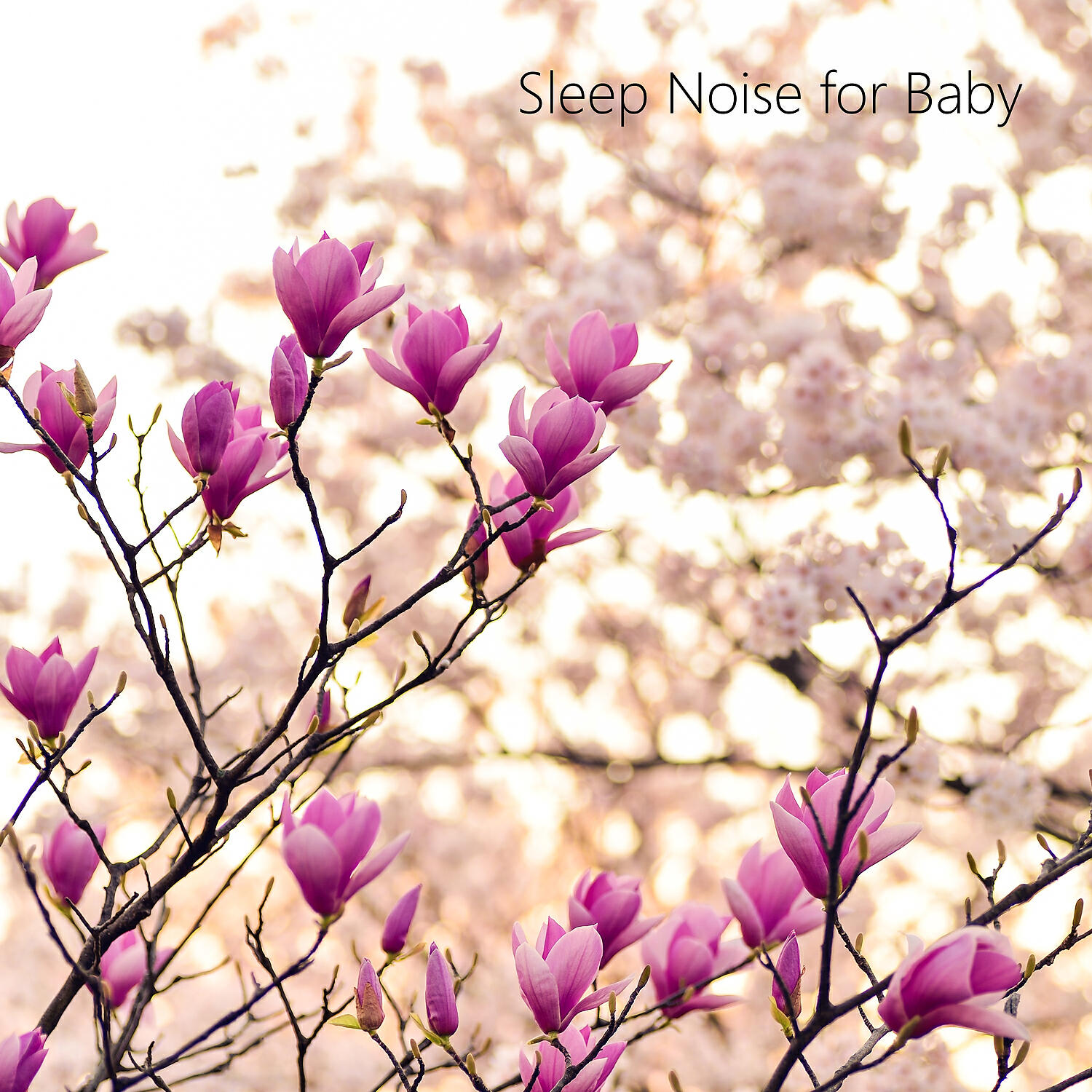 Dream Noise - Efficient Sleep Aid