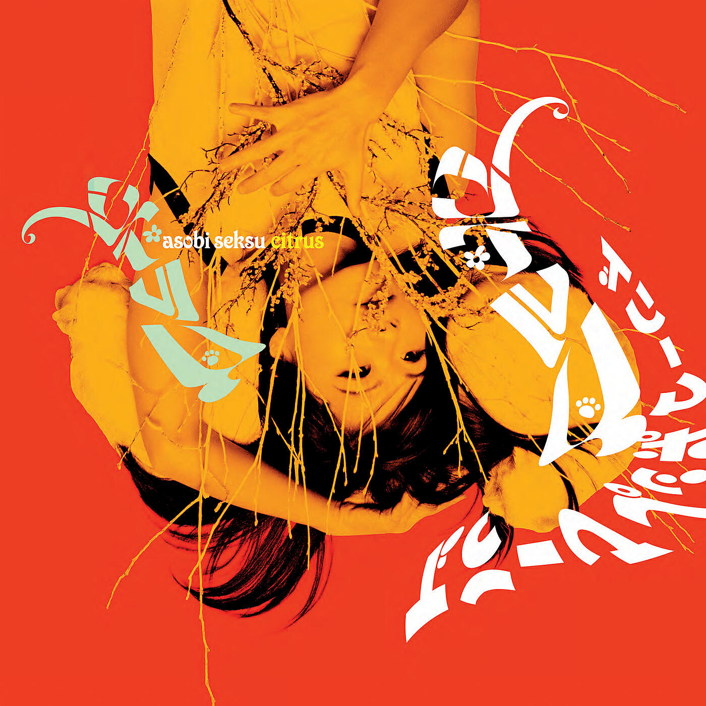 Asobi Seksu - Pink Cloud Tracing Paper